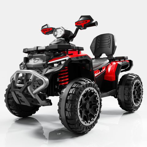 beach-buggy-large view 2