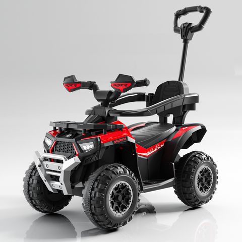 beach-buggy-small view 13