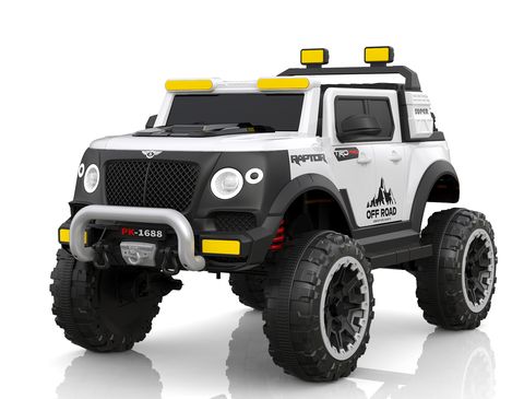 offroad-buggy view 5