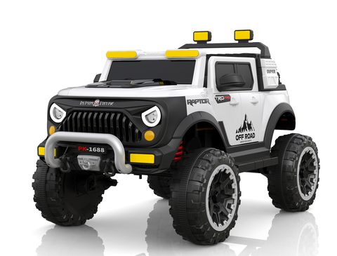 offroad-buggy view 13